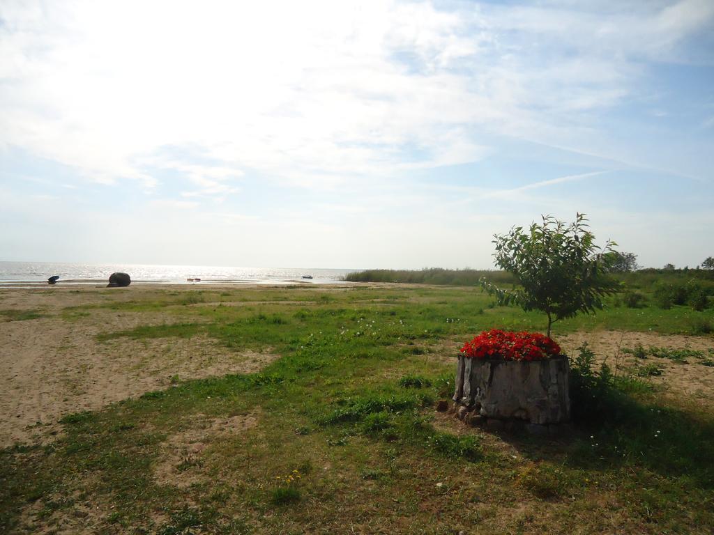 Paeevatalu Camping Hotel Vilusi Exterior foto